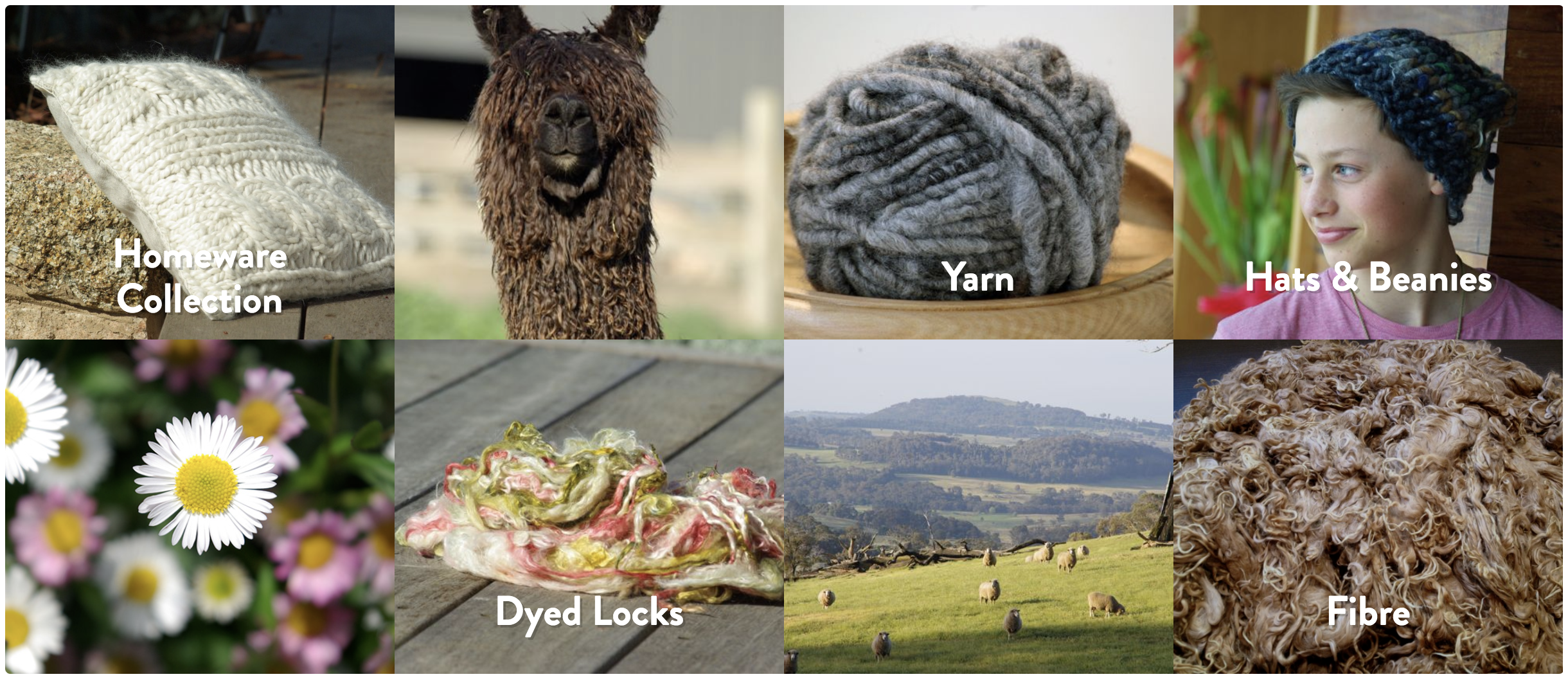 Raw Alpaca Fiber & Fleece for Sale